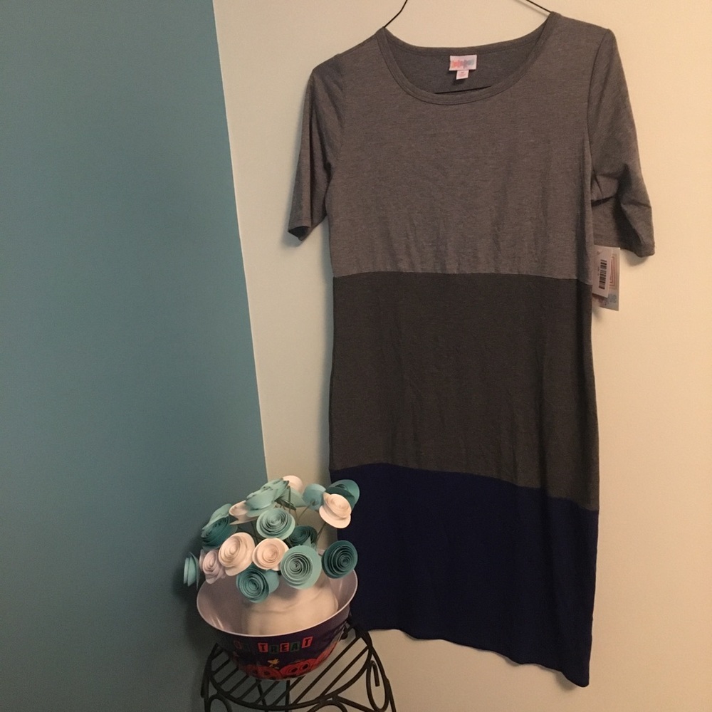 NWT Lularoe Julia colorblock dress medium